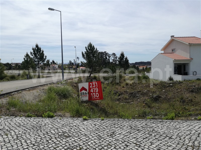 Lote / Cantanhede, Ançã