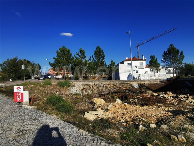 Lote  Cantanhede, Ançã - 90365 - 3