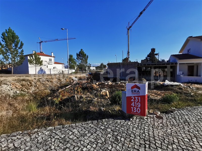 Lote  Cantanhede, Ançã - 90365 - 4