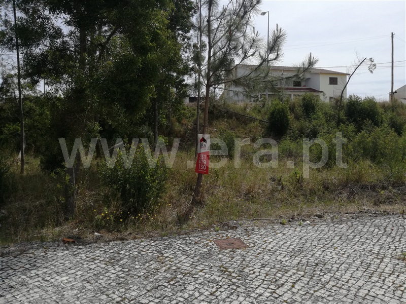 Lote  Cantanhede, Ançã - 945142 - 2