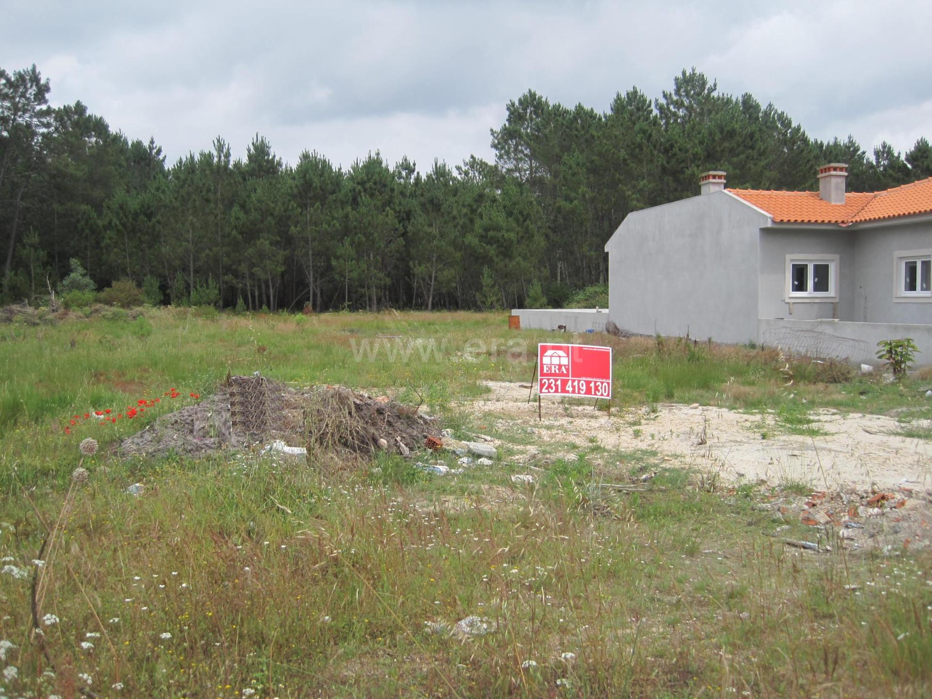 Terreno em Cantanhede