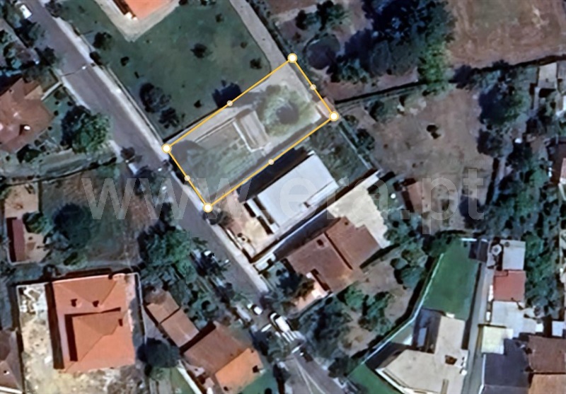 Lote / Cantanhede, Cantanhede