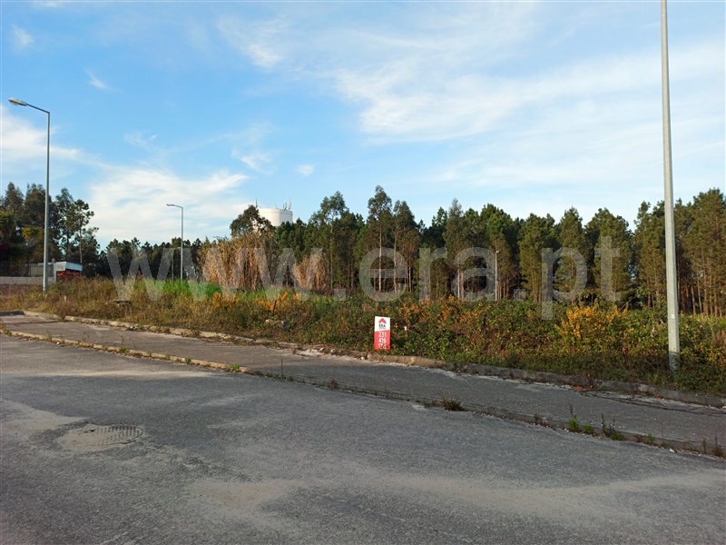 Lote / Cantanhede, Fontinha