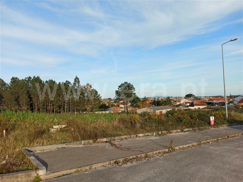 Lote  Cantanhede, Fontinha - 707100 - 5