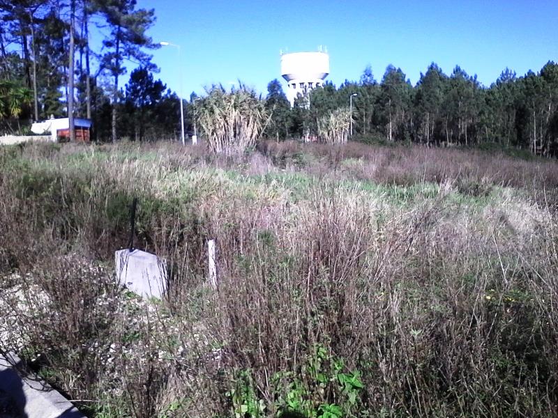 Lote  Cantanhede, Fontinha - 707100 - 3