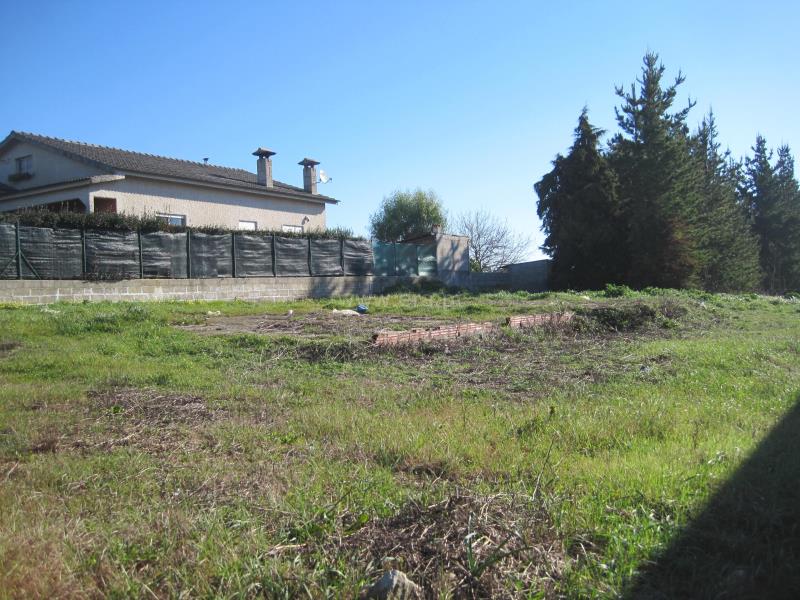 Lote  Cantanhede, Pena - 625123 - 3