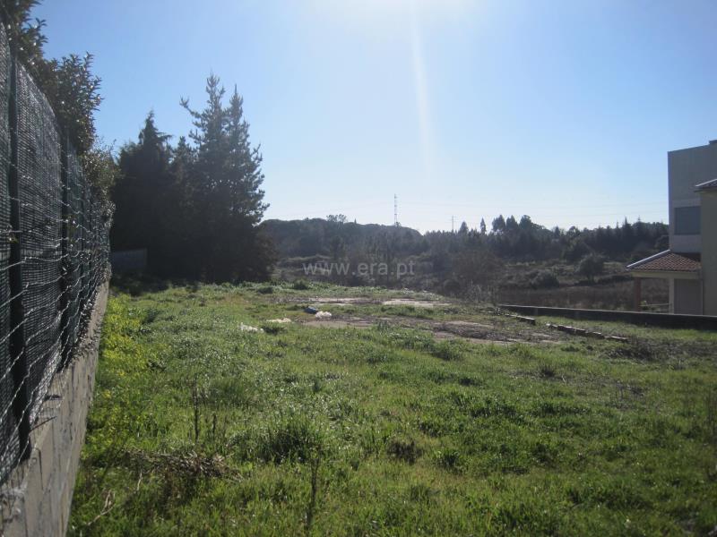 Lote  Cantanhede, Pena - 625123 - 4