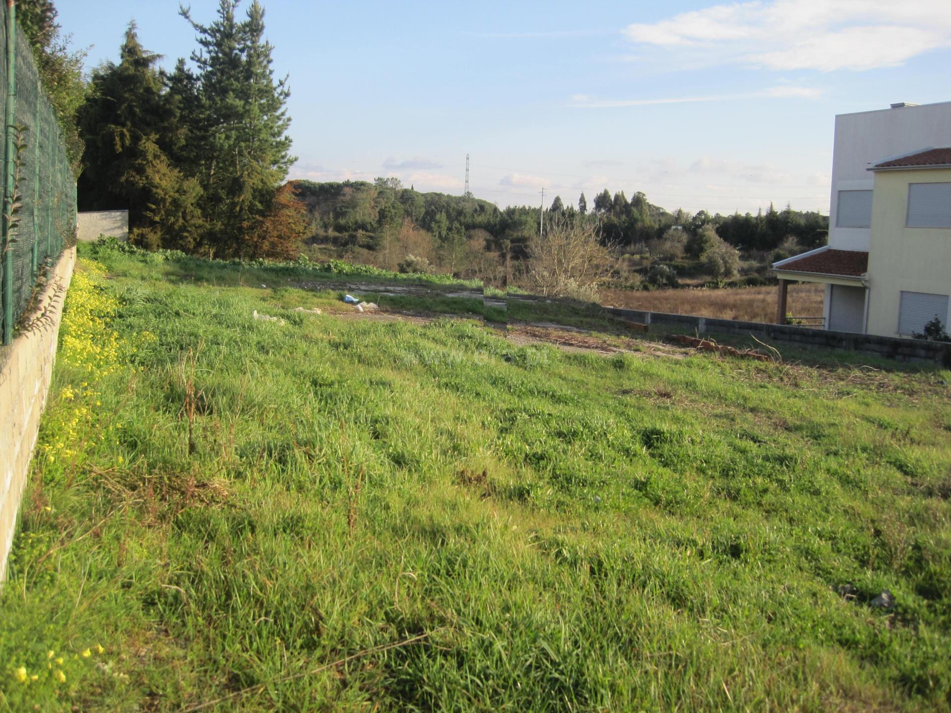 Terreno em Cantanhede