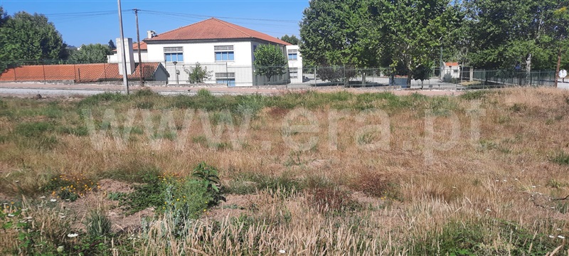 Lote  Carregal do Sal, Cabanas de Viriato - 1192561 - 3