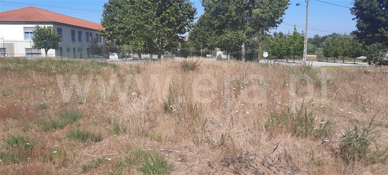 Lote  Carregal do Sal, Cabanas de Viriato - 1192568 - 4