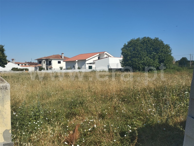 Lote / Carregal do Sal, Currelos, Papízios e Sobral