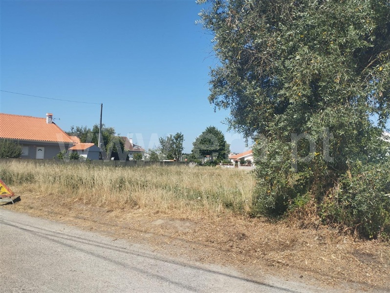 Lote  com Urbano Carregal do Sal, Currelos, Papízios e Sobral - 1489258 - 8