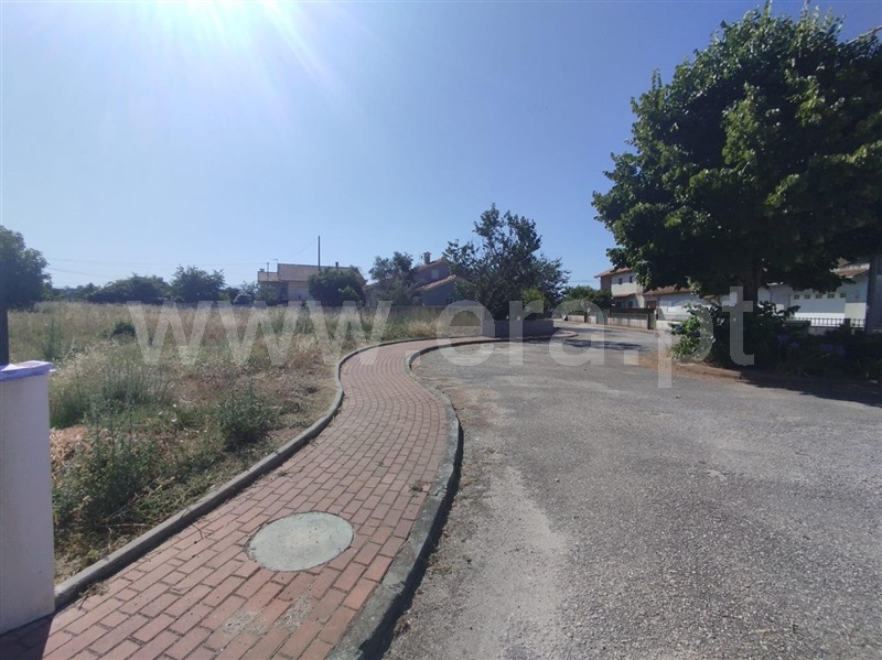 Lote  com Urbano Carregal do Sal, Currelos, Papízios e Sobral - 1489258 - 5