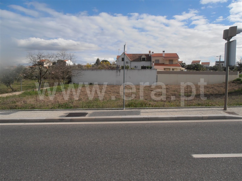 Lote / Castelo Branco, Avenida do Brasil