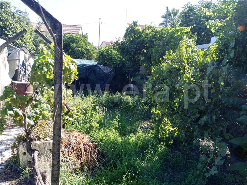Lote  Castelo Branco, Fontainhas - 1339232 - 5