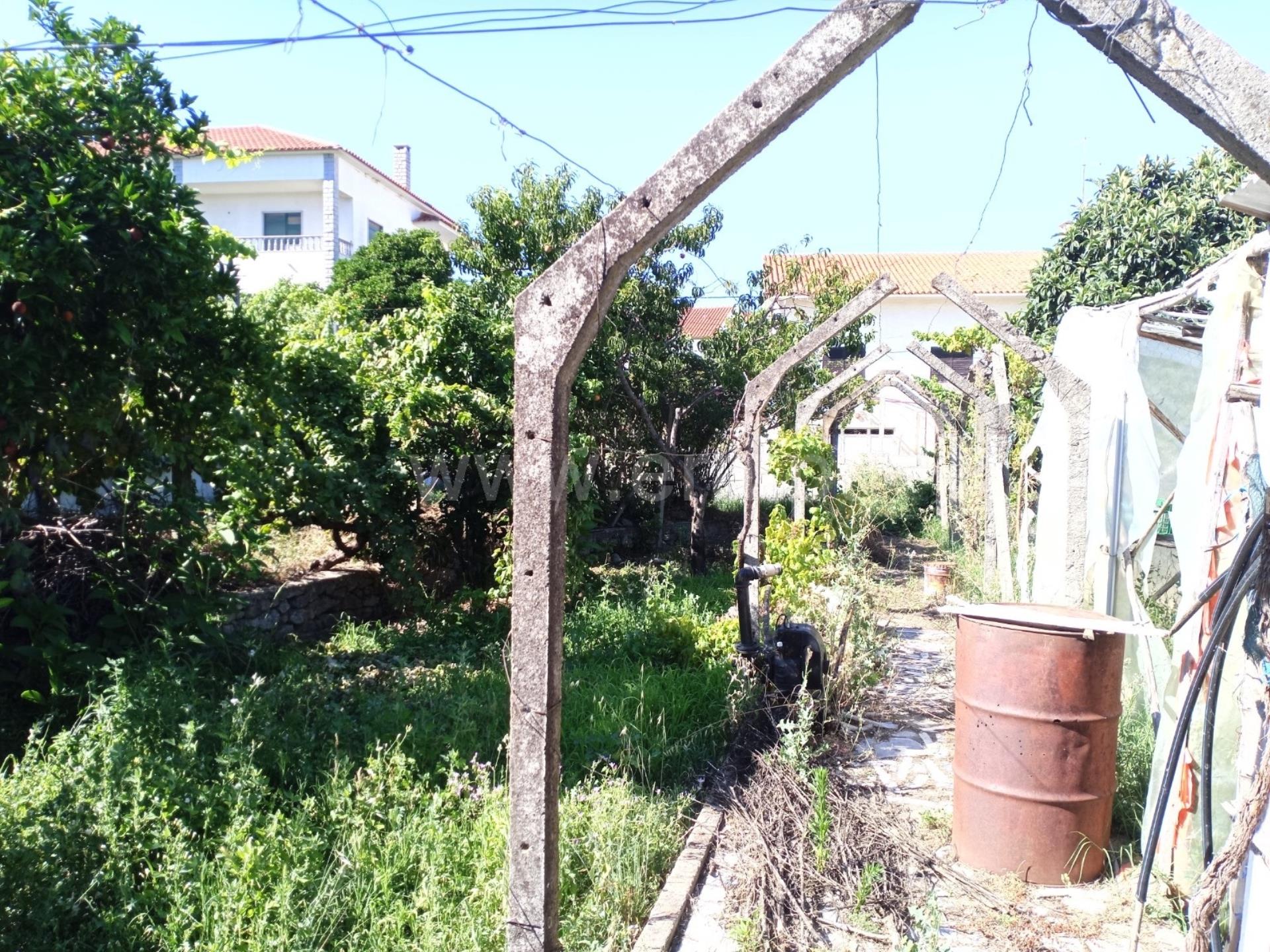 Land for sale in Castelo Branco, Portugal — €77,380