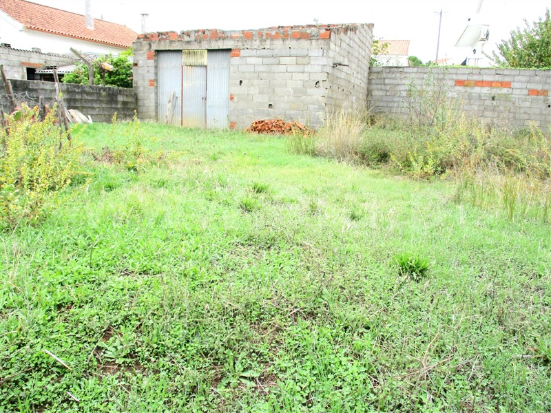 Lote  Castelo Branco, Cebolais de Cima - 1128862 - 1