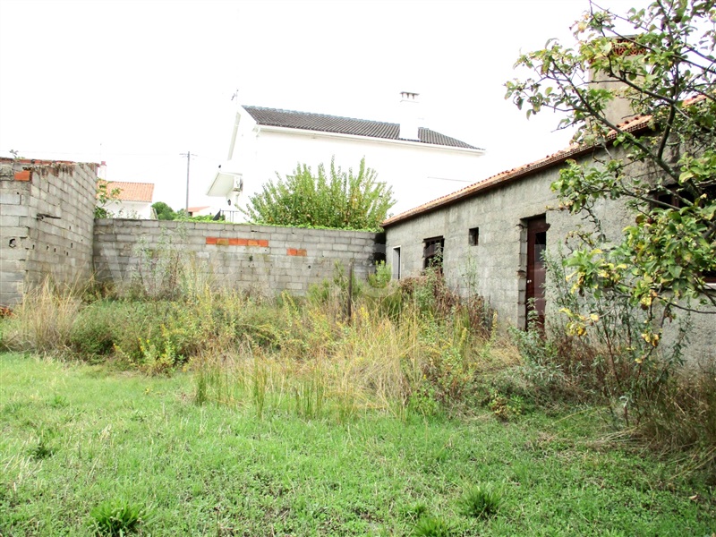 Lote  Castelo Branco, Cebolais de Cima - 1128862 - 2