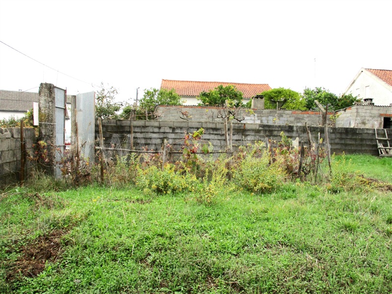 Lote  Castelo Branco, Cebolais de Cima - 1128862 - 6