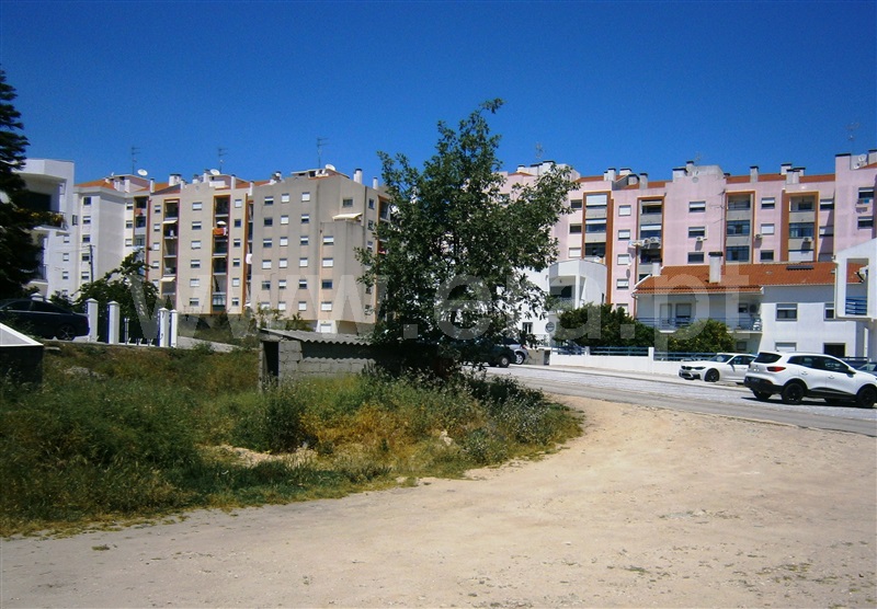 Lote / Castelo Branco, Pires Marques