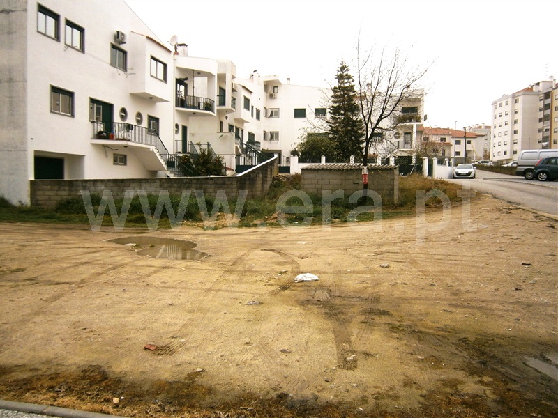 Lote  Castelo Branco, Pires Marques - 1235971 - 8
