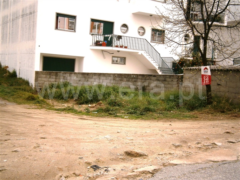 Lote  Castelo Branco, Pires Marques - 1235971 - 6