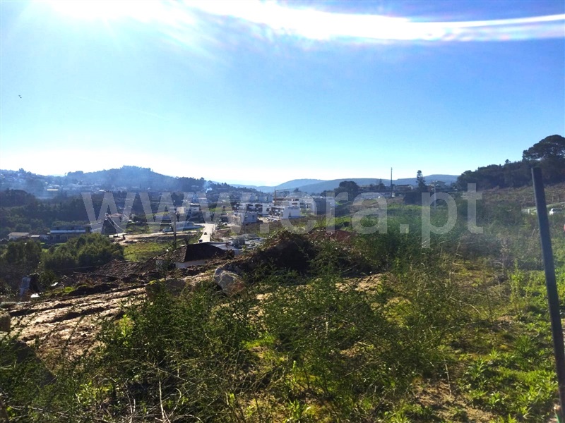 Lote  Castelo de Paiva, Sobrado e Bairros - 1379658 - 2