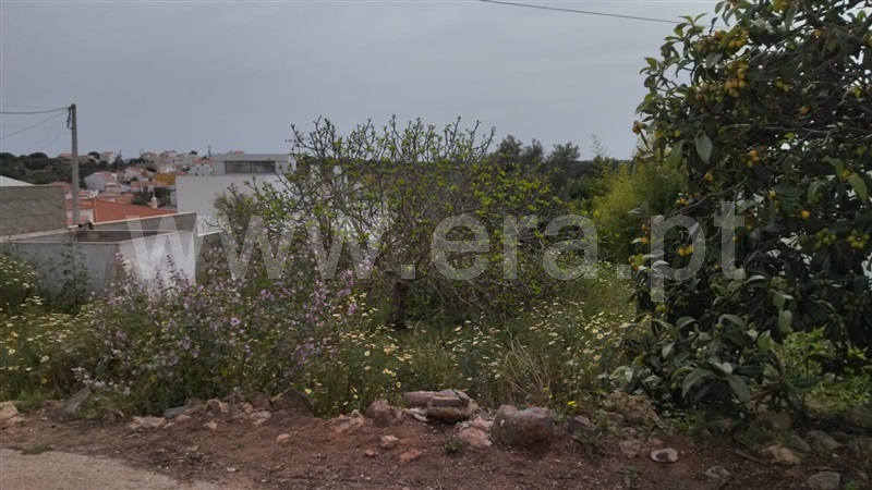 Lote  Castro Marim, São Bartolomeu - 1364468 - 4