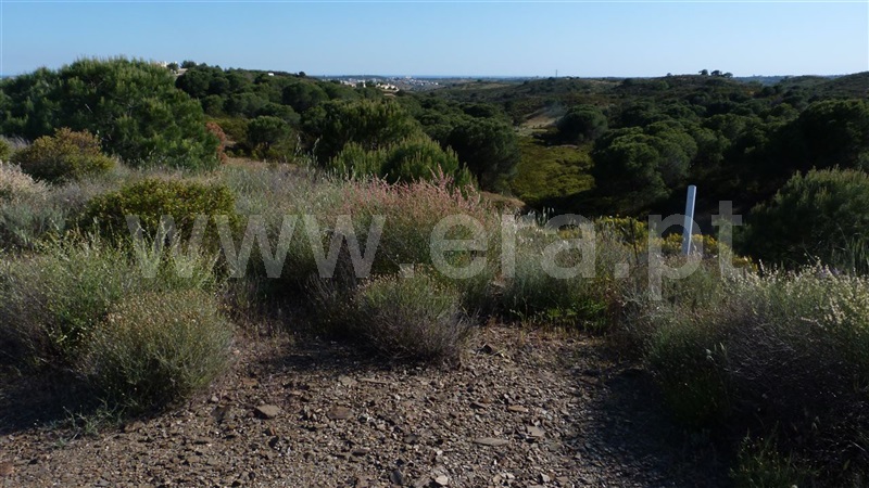 Lote / Castro Marim, Golfe