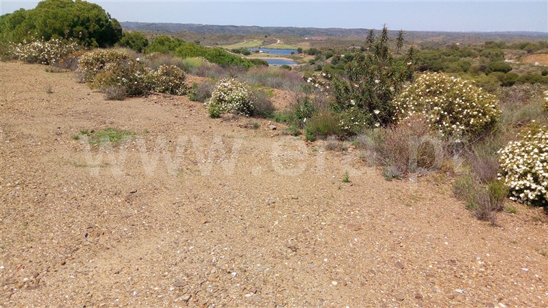 Lote / Castro Marim, Golfe