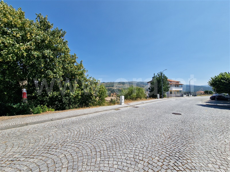Lote / Celorico da Beira, Celorico (São Pedro e Santa Maria) e Vila Boa do Mondego