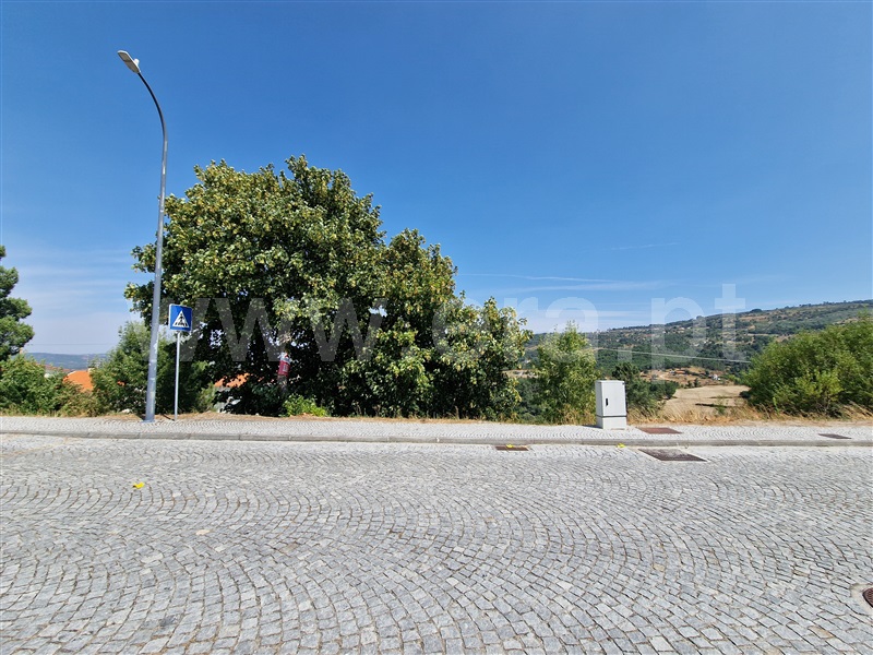 Lote  Celorico da Beira, Celorico (São Pedro e Santa Maria) e Vila Boa do Mondego - 1494776 - 7