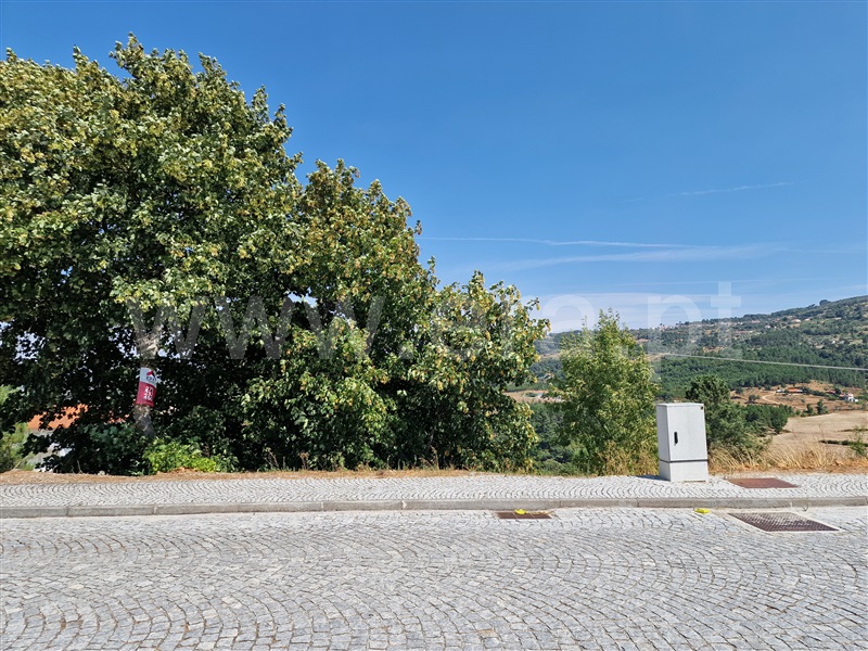 Lote  Celorico da Beira, Celorico (São Pedro e Santa Maria) e Vila Boa do Mondego - 1494776 - 8