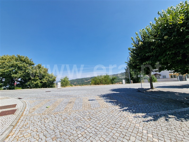 Lote  Celorico da Beira, Celorico (São Pedro e Santa Maria) e Vila Boa do Mondego - 1494776 - 14