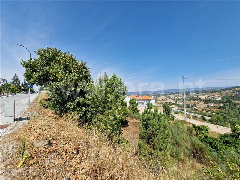 Lote  Celorico da Beira, Celorico (São Pedro e Santa Maria) e Vila Boa do Mondego - 1494776 - 15