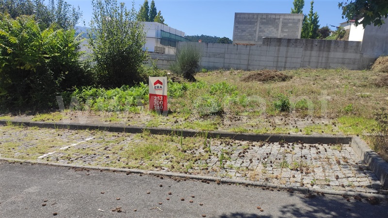 Lote / Celorico de Basto, Arnóia
