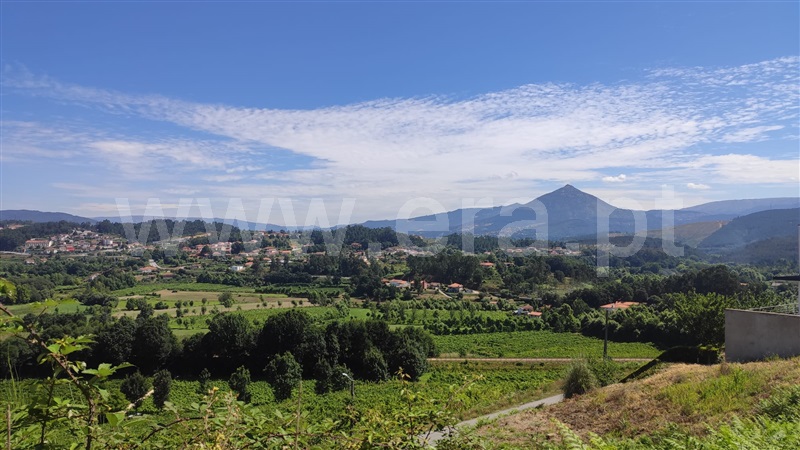 Lote  Celorico de Basto, Arnóia - 1420031 - 6