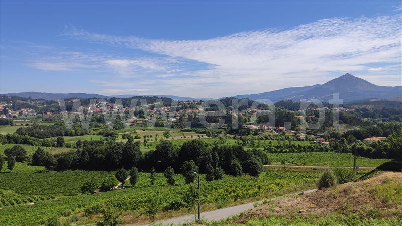 Lote  Celorico de Basto, Arnóia - 1420031 - 10