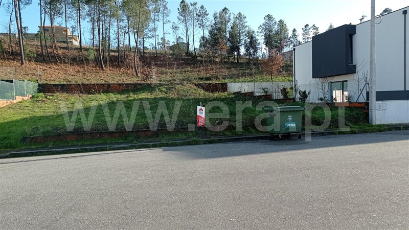 Lote / Celorico de Basto, Rego