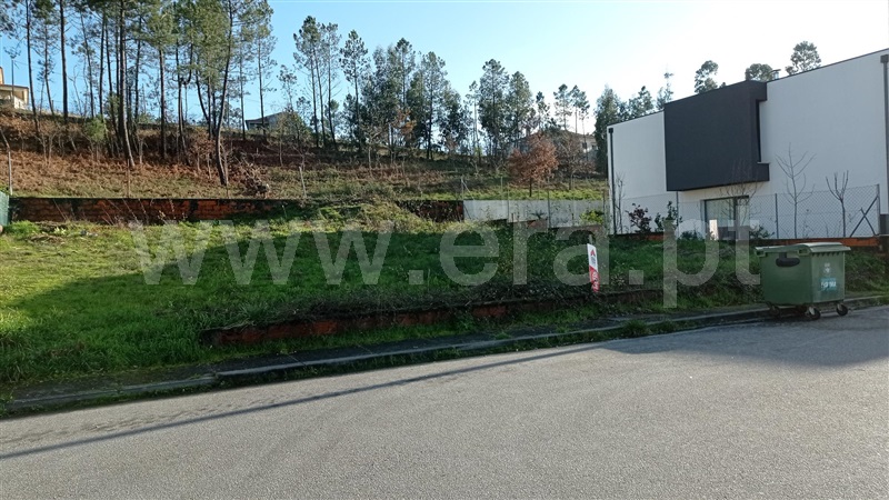 Lote  Celorico de Basto, Rego - 989239 - 3