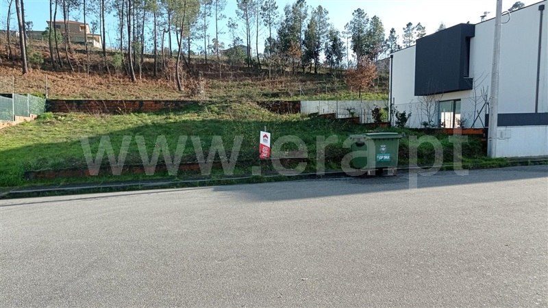 Lote  Celorico de Basto, Rego - 989239 - 4
