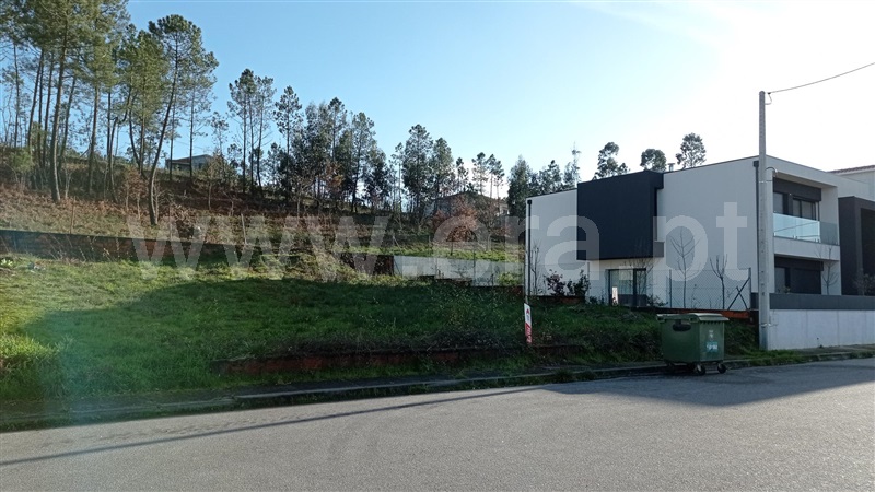 Lote  Celorico de Basto, Rego - 989239 - 6