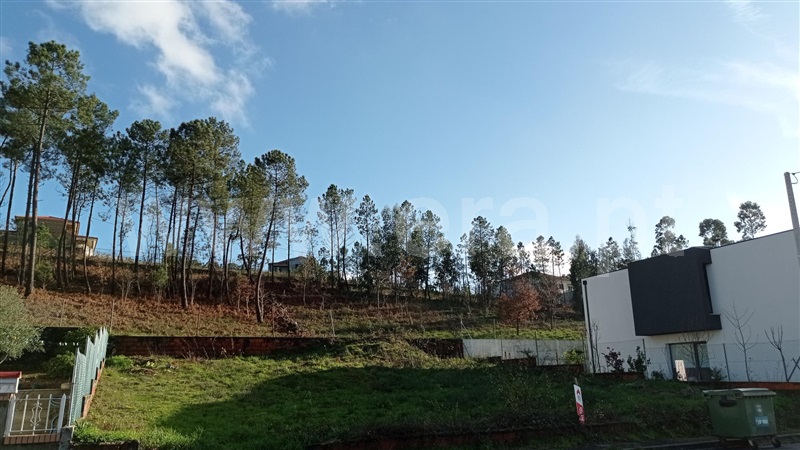 Lote  Celorico de Basto, Rego - 989239 - 7