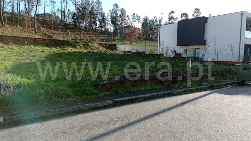 Lote  Celorico de Basto, Rego - 989239 - 9