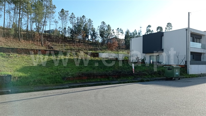 Lote  Celorico de Basto, Rego - 989239 - 10