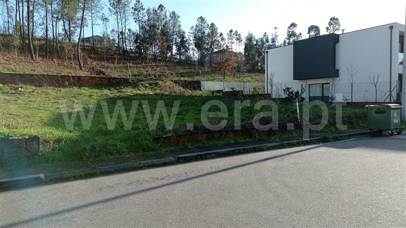 Lote  Celorico de Basto, Rego - 989239 - 11