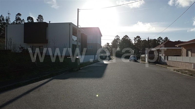 Lote  Celorico de Basto, Rego - 989239 - 12