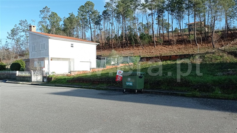 Lote  Celorico de Basto, Rego - 989239 - 13