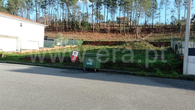 Lote  Celorico de Basto, Rego - 989239 - 14