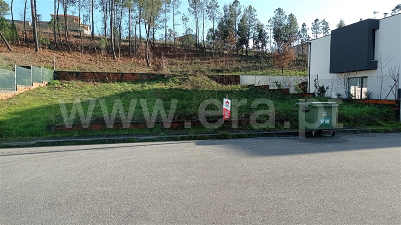 Lote  Celorico de Basto, Rego - 989239 - 15